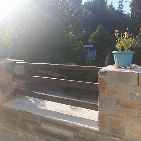 Apartments Spiros Pelion Kalamaki  客房 照片