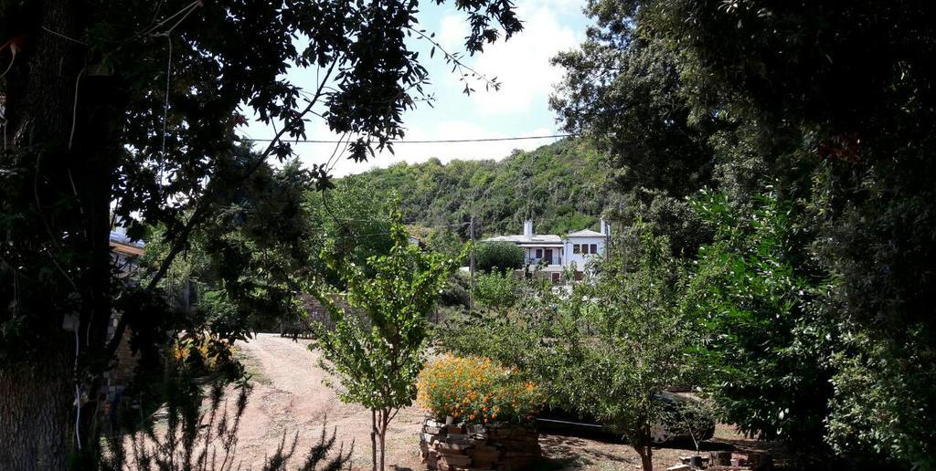 Apartments Spiros Pelion Kalamaki  外观 照片